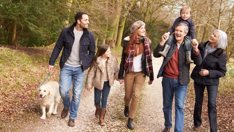 A Family walking in a park